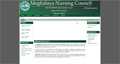 Desktop Screenshot of meghanursingcouncil.org